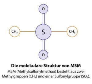 Die molekulare Struktur von MSM