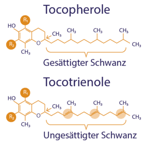 Vitamin E T8 MAX 400IE/50mg 19 Die unterschiedlichen chemischen Strukturen von Tocopherolen und Tocotrienolen
