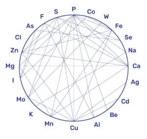 Cirkeldiagram dat de interacties tussen mineralen en spoorelementen toont, waaronder magnesium, calcium, zink, ijzer, selenium en kalium. De lijnen laten zien hoe deze stoffen elkaars absorptie, stofwisseling of uitscheiding beïnvloeden.
