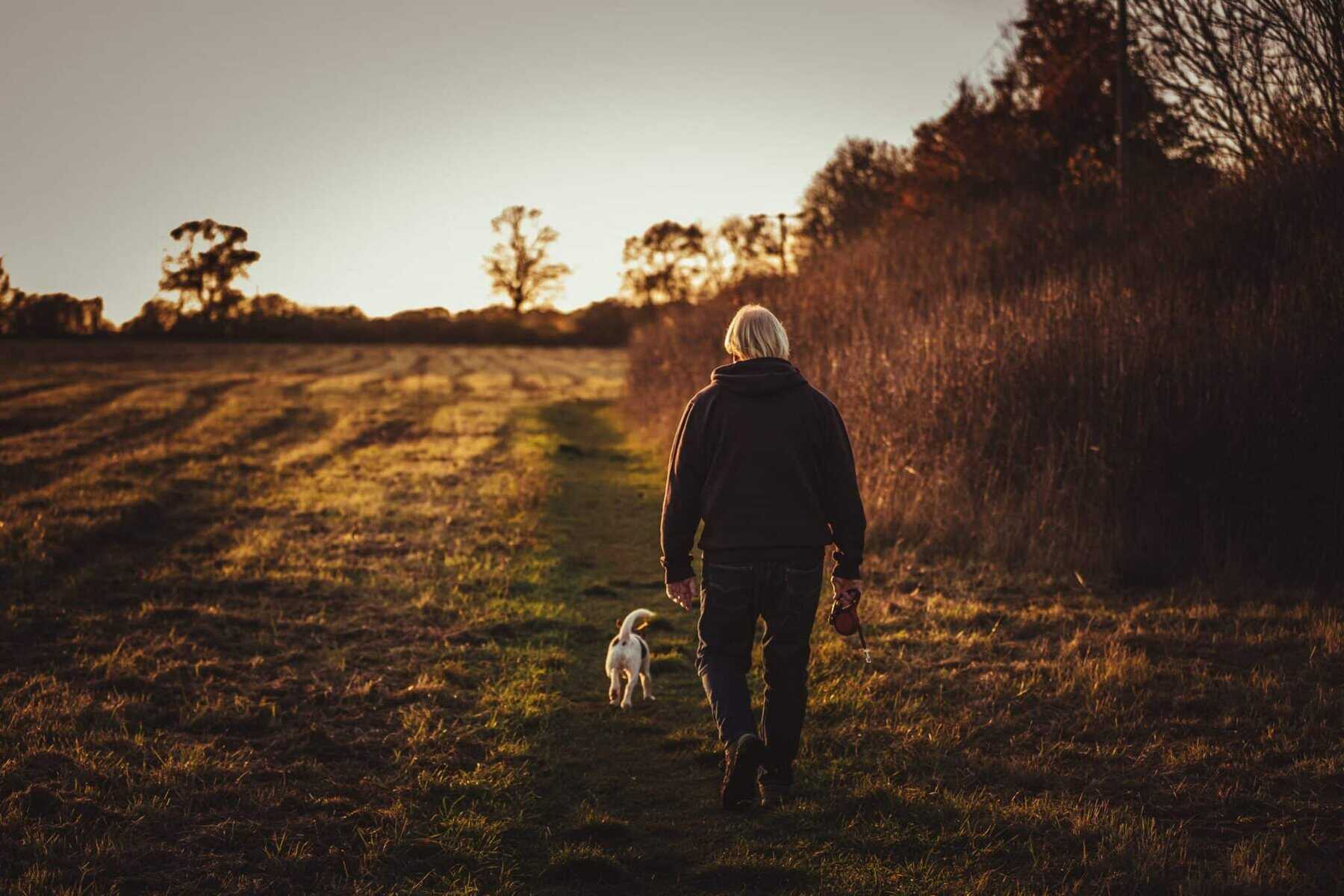 wandelen hond Bewegung,mentale Gesundheit