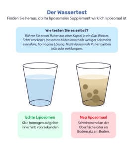 Der Wassertest: Entdecken Sie, ob Ihr liposomales Nahrungsergänzungsmittel wirklich liposomal ist. Illustration von zwei Wassergläsern. Links: echte Liposomen, klar und homogen aufgelöst innerhalb von Sekunden. Rechts: falsches Liposomal, schwimmend an der Oberfläche oder Bodensatz am Boden. Testen Sie es selbst, indem Sie Pulver aus einer Kapsel in Wasser einrühren.