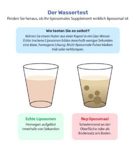 Liposomales Ester-C® 13 Der Wassertest: Entdecken Sie, ob Ihr liposomales Nahrungsergänzungsmittel wirklich liposomal ist. Illustration von zwei Wassergläsern. Links: echte Liposomen, klar und homogen aufgelöst innerhalb von Sekunden. Rechts: falsches Liposomal, schwimmend an der Oberfläche oder Bodensatz am Boden. Testen Sie es selbst, indem Sie Pulver aus einer Kapsel in Wasser einrühren.